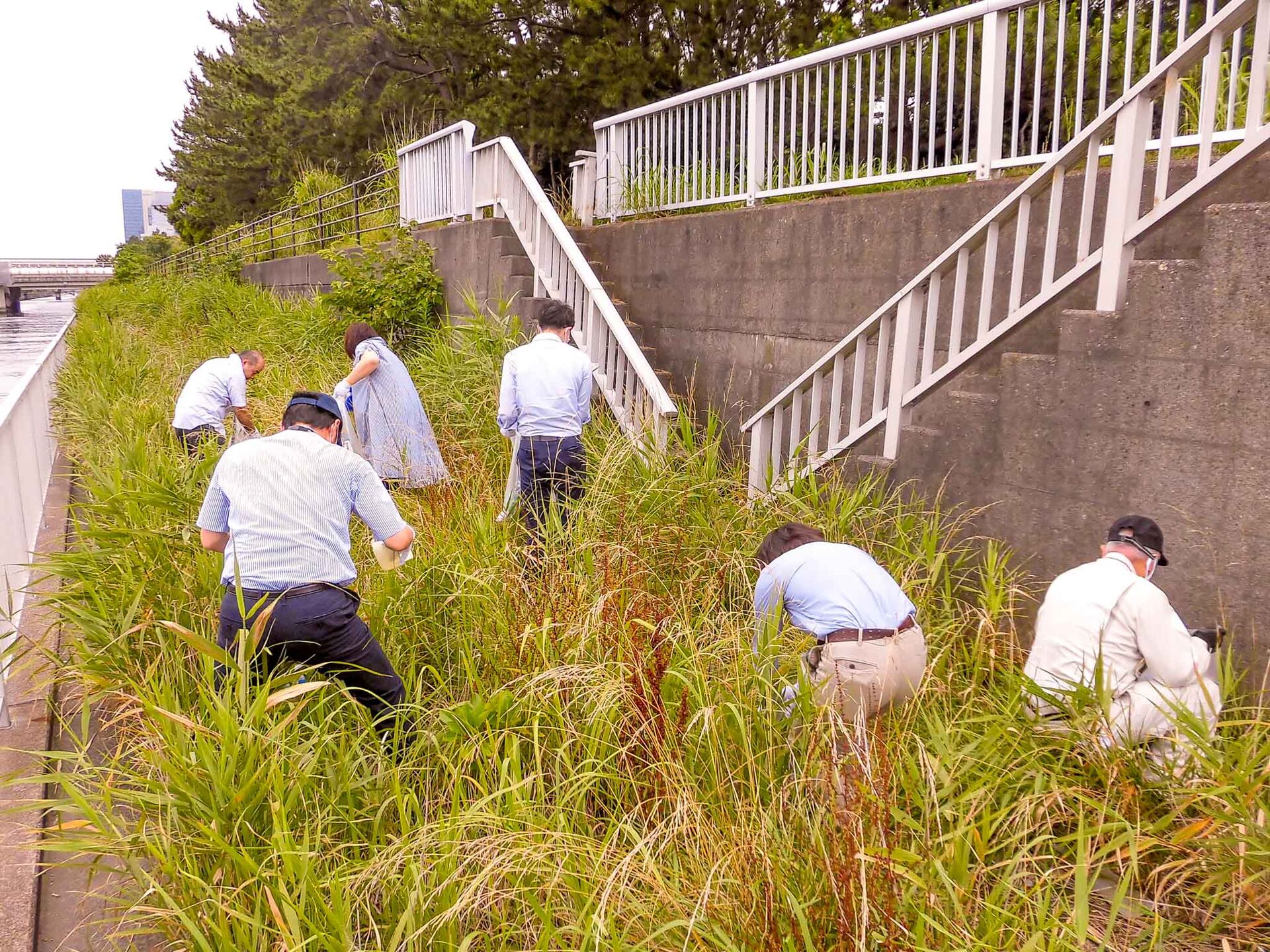 CSR-2020-06-24-Makuhari-Cleaning-2