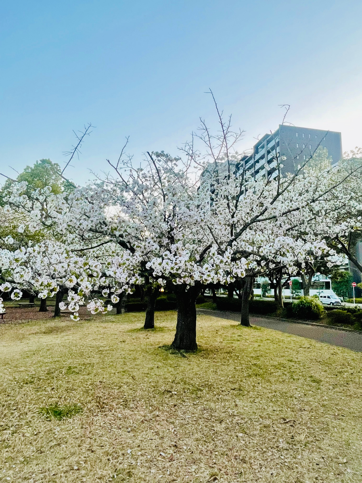 2025事業計画ブログ用写真1
